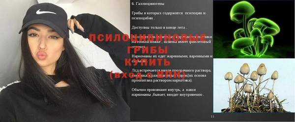 гидропоника Саяногорск