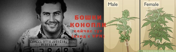 дурь Абаза