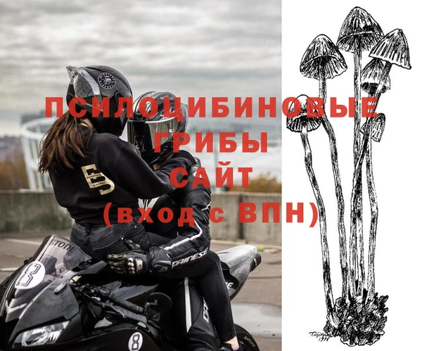 дурь Абаза