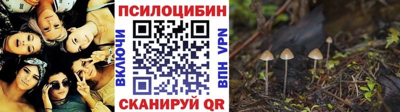 Псилоцибиновые грибы Cubensis  Кириллов 