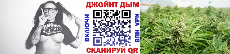 сколько стоит Кириллов Каннабис индика
